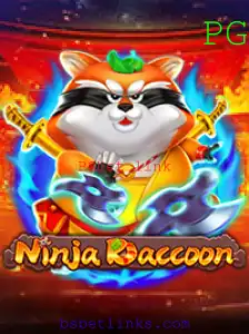 Explorando o Universo de NinjaRaccoon